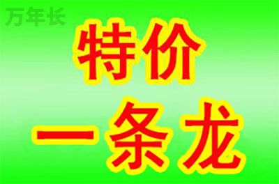 泉州福建省晋江市坟地每年管理费用是多少？